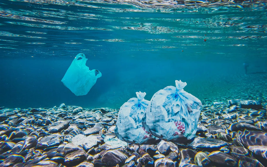 Global Plastic Waste is Projected to Triple by 2060 & Ways to Prevent it