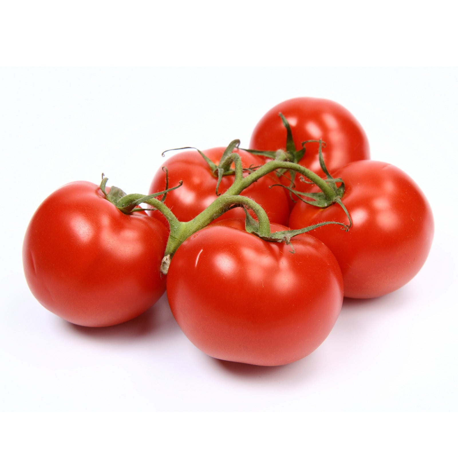 Tomatoes On-The-Vine (1 lb) – East West Markets