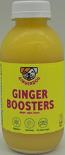 Load image into Gallery viewer, Gingerdog Ginger Booster 480ml
