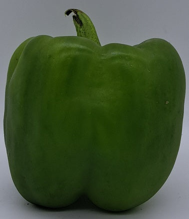 Green Pepper 1lb